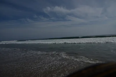 DSC_2285 (Large).JPG